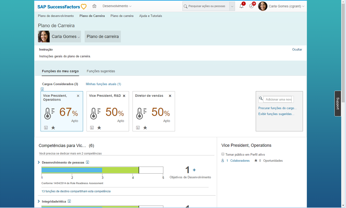 SAP Success Factors development